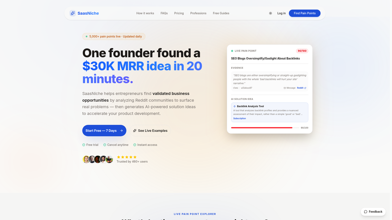 SaasNiche Review - Homepage Screenshot