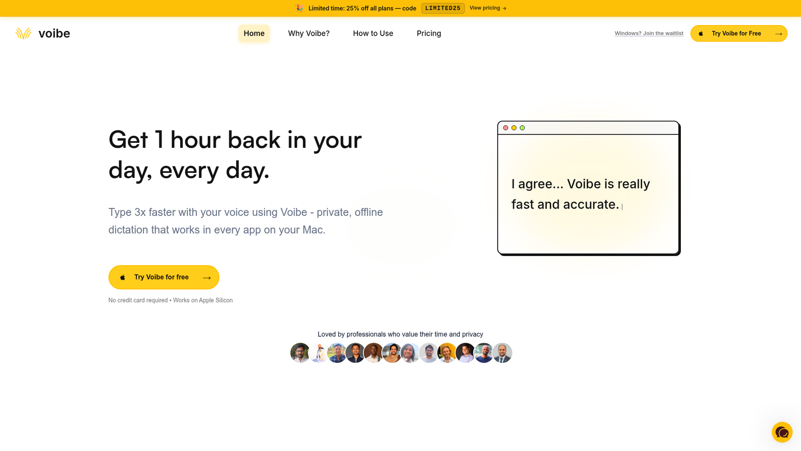 Voibe Review - Homepage Screenshot